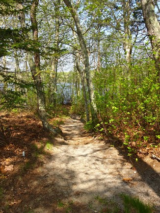 Brewster Cape Cod vacation rental - Path to pond