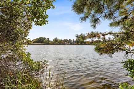 West Dennis Cape Cod vacation rental - Kelly's Pond is salt water and tidal