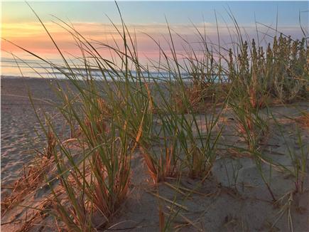 East Orleans Cape Cod vacation rental - Take the the time to watch the sunrise at nearby Nauset Beach