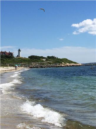 Woods Hole Cape Cod vacation rental - Gorgeous Nobska Beach a quarter mile walk from house