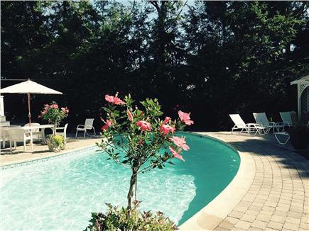 Dennis Village Cape Cod vacation rental - Many ways to relax by the pool