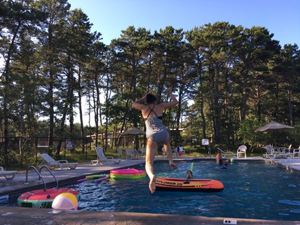 Wellfleet, Wellfeet Cape Cod vacation rental - Brand new swimming pool - only 50 yards away from cottage