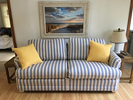 Wellfleet, Wellfeet Cape Cod vacation rental - Brand new couch