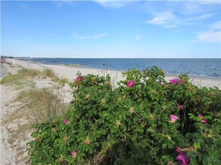 South Yarmouth Cape Cod vacation rental - 5 minutes to South Shore Drive-beautiful ocean beaches
