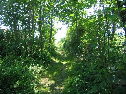 Manomet Manomet vacation rental - Pathway at end of road that leads to stairs to the beach
