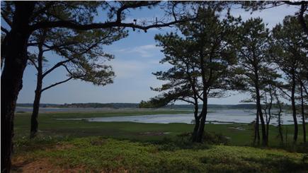 South Wellfleet Cape Cod vacation rental - The view from the East Deck