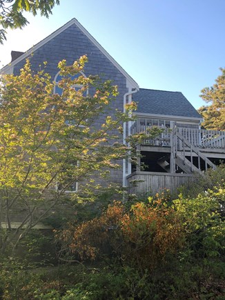 South Wellfleet Cape Cod vacation rental - The house with the dogwood tree in bloom