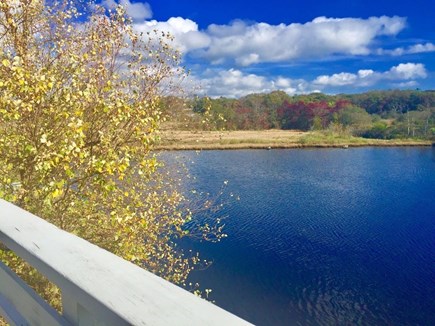 Woods Hole, Falmouth Cape Cod vacation rental - Mill Pond, in fall, as viewed from our deck.