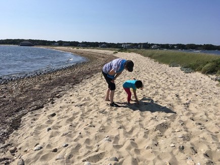 East Falmouth Cape Cod vacation rental - Finding shells on the beach on Washburn Island