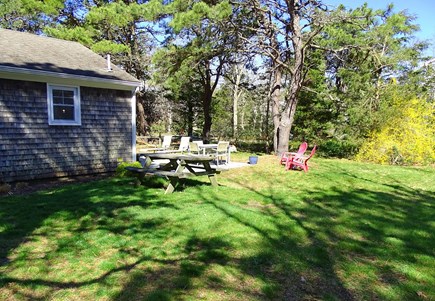 Eastham Cape Cod vacation rental - Large expansive back yard with outdoor shower