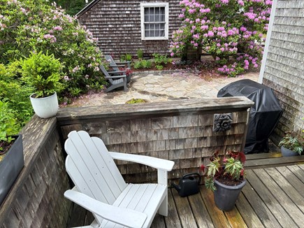 Wellfleet Cape Cod vacation rental - Drink your coffee while listening to the birds.