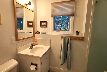 Truro Cape Cod vacation rental - Lower full bath w same shower as 1st floor