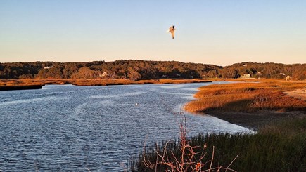 Truro Cape Cod vacation rental - Pamet Marsh