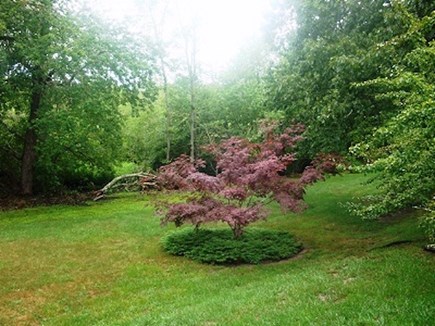 Wellfleet Cape Cod vacation rental - Beautiful and well maintained grounds