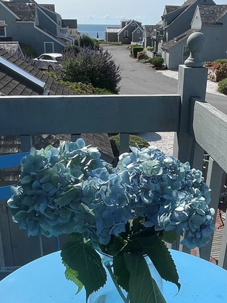 New Seabury, Mashpee Cape Cod vacation rental - Balcony Waterview off Master Bdrm