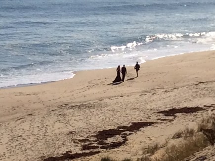 South Eastham 7 mins to Orlean Cape Cod vacation rental - Walk on the beach