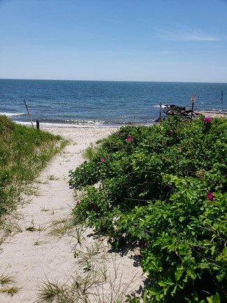 West Harwich Cape Cod vacation rental - Walkway to private beach