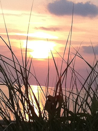 Wellfleet, Chequessett Neck Cape Cod vacation rental - Watch beautiful sunsets at Duck Harbor just minutes from house