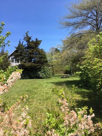 Orleans Cape Cod vacation rental - Lovely private outdoor grounds with picnic table