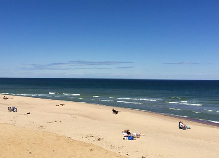 Wellfleet Cape Cod vacation rental - Beautiful Newcomb Hollow Beach is only 2-3 miles away