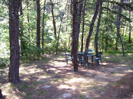 Wellfleet Cape Cod vacation rental - Wooded Backyard
