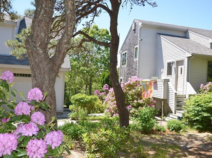 Truro Cape Cod vacation rental - Located on 2 1/2 acres on a very quiet street!