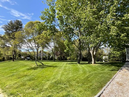 Orleans Cape Cod vacation rental - Spacious lawn