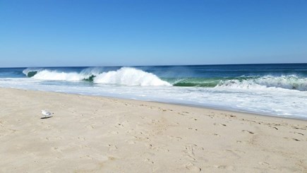 Eastham Cape Cod vacation rental - Beautiful Coast Guard Beach 3.9 miles