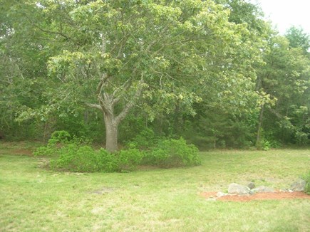 Yarmouth Port Cape Cod vacation rental - Back yard backed to conservation land