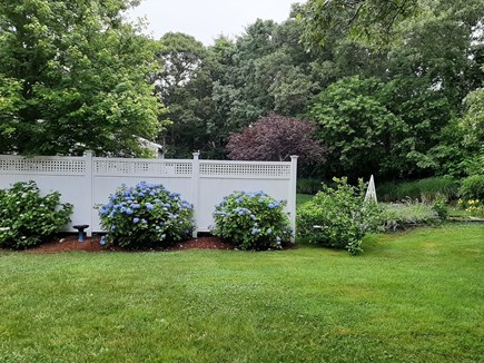 Yarmouth Port Cape Cod vacation rental - Fence with hydrangeas