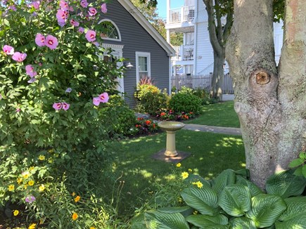 Provincetown Cape Cod vacation rental - Side view