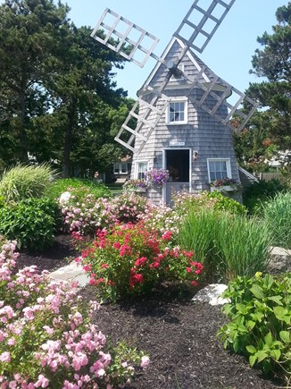 Dennis Port Cape Cod vacation rental - Windmill at Dennis Seashores