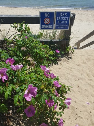 Dennis Port Cape Cod vacation rental - Entrance to Dennis Seashores private beach steps away