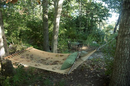 South Wellfleet Cape Cod vacation rental - Our yard hammock. Leaves available in the Fall only.