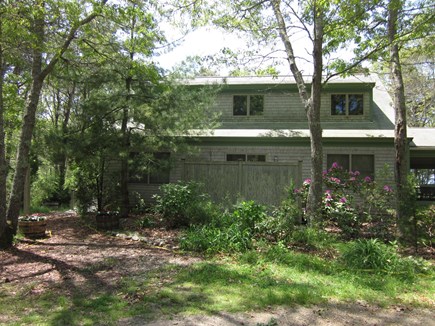 Cotuit Cape Cod vacation rental - Sunlight streams through the trees as you approach the house.