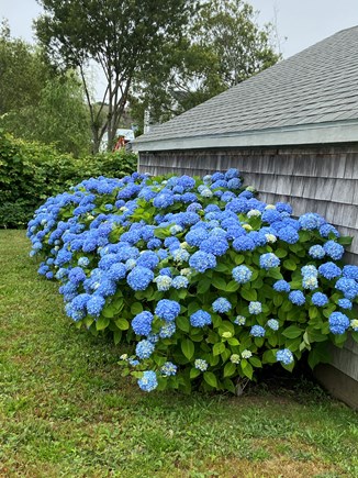 Hyannis Cape Cod vacation rental - 