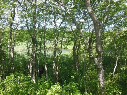 Hyannis, Barnstable Cape Cod vacation rental - View from deck overlooking tidal estuary