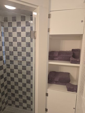 Provincetown Cape Cod vacation rental - Shower and cabinets