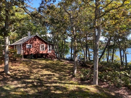 Brewster Cape Cod vacation rental - Cottage is nestled in the woods with all the comforts of home.