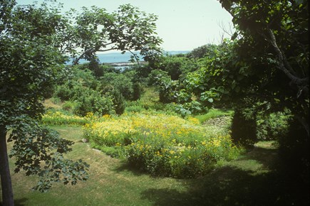 Woods Hole, Nobska Point Cape Cod vacation rental - View of Vineyard Sound over the garden and between the trees