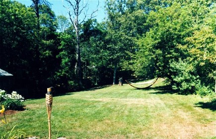 Wellfleet Cape Cod vacation rental - Large back yard with shed full of toys, games, and beach gear.