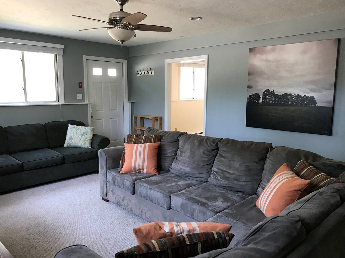 3rd living room in the lower level