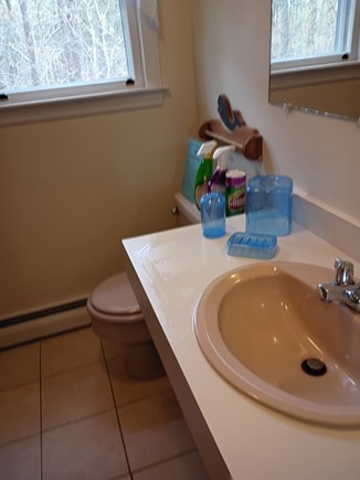 Wellfleet Cape Cod vacation rental - DOWNSTAIRS BATHROOM