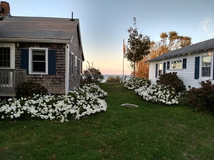 Brewster beachfront  Cape Cod vacation rental - One of 3 cottages on the beach bluff.