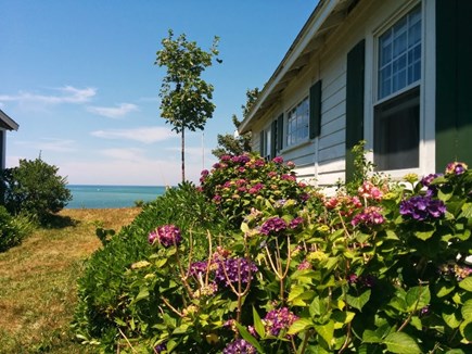 Brewster beachfront  Cape Cod vacation rental - Side of cottage