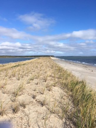 Cotuit /Mashpee line south of  Cape Cod vacation rental - The beach where the bay and ocean meet  just 5 minutes away!!