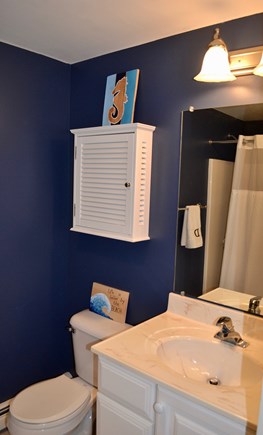 Harwich Cape Cod vacation rental - Full bathroom in hallway on main level - shower/bath tub