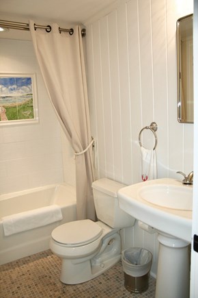 Oceanfront Residential Hyannis Cape Cod vacation rental - Central Bath w Custom Tile Painting & Plenty of Beach Towel Hooks