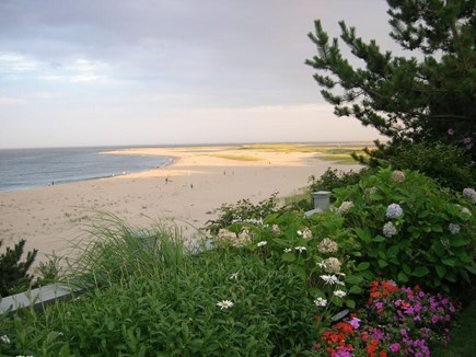 Eastham, walk to Great Pond Cape Cod vacation rental - Salt Marsh viewed from Coast Guard Beach