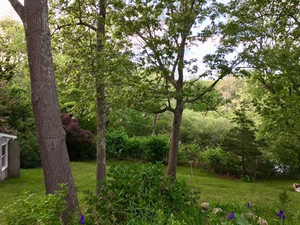 Eastham Cape Cod vacation rental - Large Property With Beautiful Plantings...